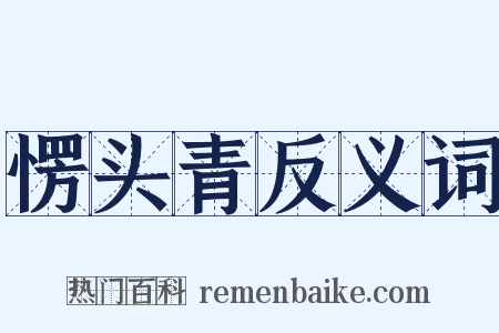 愣头青反义词是什么意思的图片